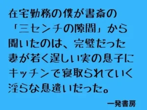 秘密な同人作品！在宅勤務の僕が書斎の「三センチの隙間」から聞いたのは、完璧だった妻が若く逞しい実の息子にキッチンで寝取られていく淫らな息遣いだった。【一発書房】